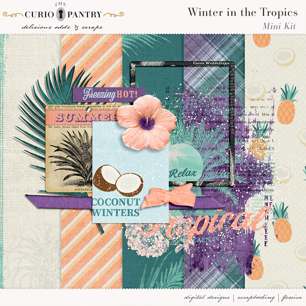 PSBT Jul19 Winter in the Tropics
